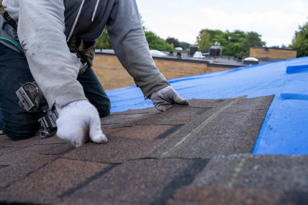 Best Roof Repair Services  in Lowell, AR