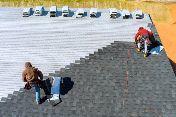 Best Gutter Installation and Roofing  in Lowell, AR